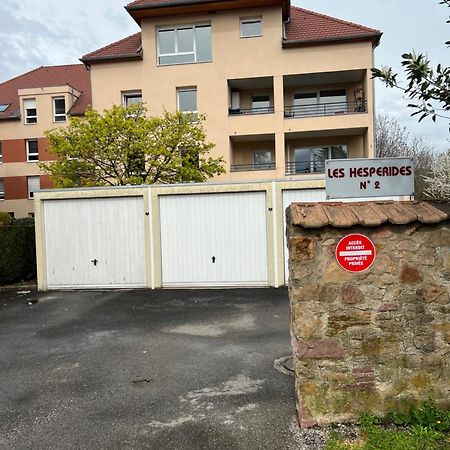 Appartement L'Alsace Autrement à Soultz-Haut-Rhin Extérieur photo